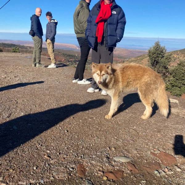 WhatsApp Image 2026-02-22 at 11.28.13 PM