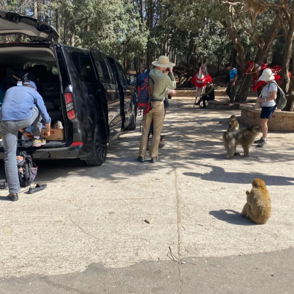 WhatsApp Image 2026-02-22 at 11.28.51 PM