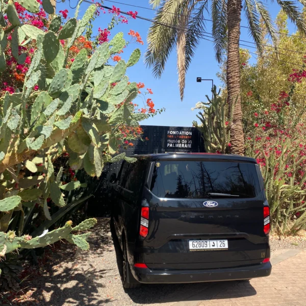 WhatsApp Image 2026-02-22 at 11.29.12 PM