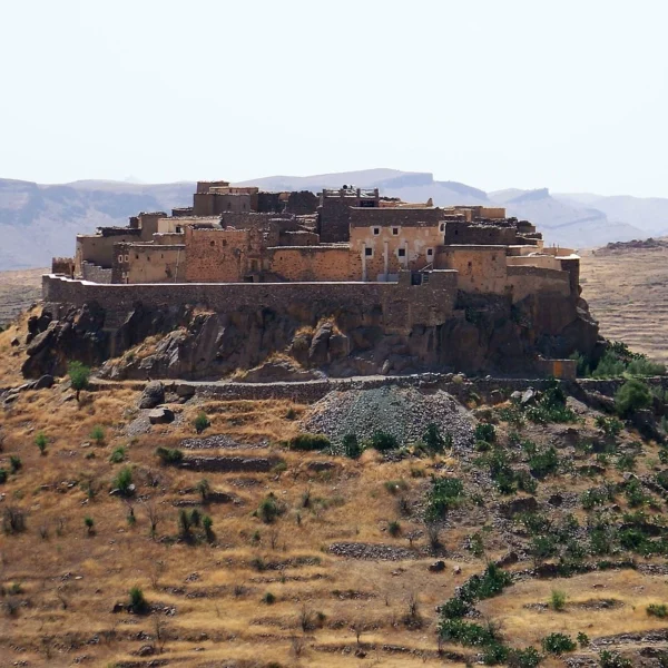 brokerx-desert-6838149_1280