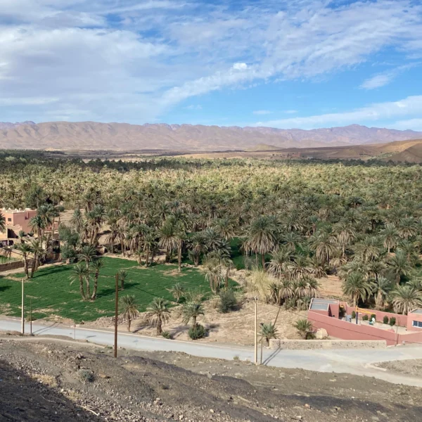 WhatsApp Image 2026-02-27 at 10.37.15 PM