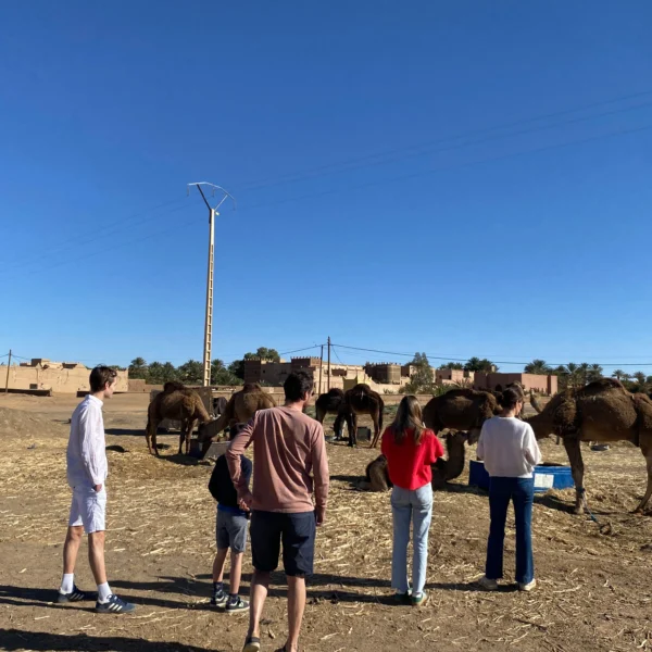 WhatsApp Image 2026-02-27 at 10.37.57 PM